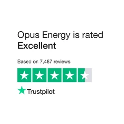 Opus Energy Customer Feedback Analysis