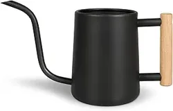 Watering Can for Indoor Plants: Quality, Design, and Functionality Reviewed