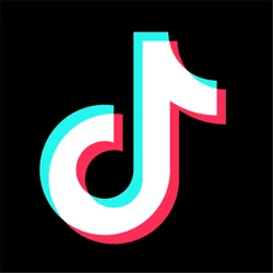 Mixed Reviews for TikTok: Entertainment Value vs. Content Quality