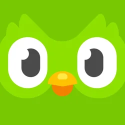 Mixed Feedback on Duolingo Language Lessons: Pronunciation Accuracy, Bugs, and Engagement