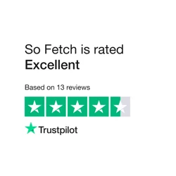 Unlock Pet Grooming Excellence with 'So Fetch' Feedback Report