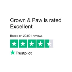 Crown & Paw Feedback Report: Insights and Analysis