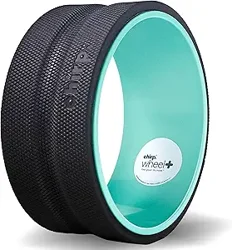 Chirp Wheel Review Analysis: Back Pain Relief Insights