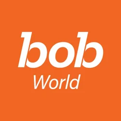 Executive Summary of User Reviews for bob World - Mobile Banking App