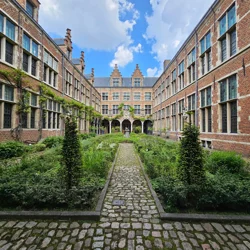 Unlock Insights with the Plantin-Moretus Museum Feedback Report