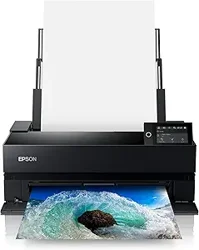 Epson SureColor P700: Unveiling Customer Insights