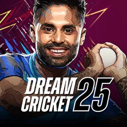 Executive Summary of Player Feedback for Dream Cricket 2025