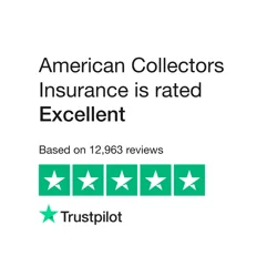 Positive Feedback on Customer Service and Tailored Coverage Options at American Collectors Insurance