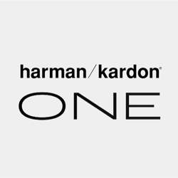 Essential Insights from Harman Kardon One User Feedback