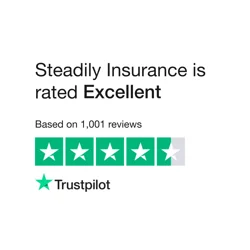 Steadily Insurance: Mixed Customer Feedback Overview