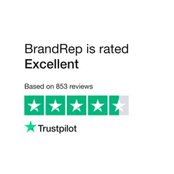 Mixed Customer Feedback on BrandRep's Services