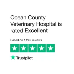 Ocean County Veterinary Hospital: Caring Staff, Knowledgeable Vets, and Excellent Pet Care