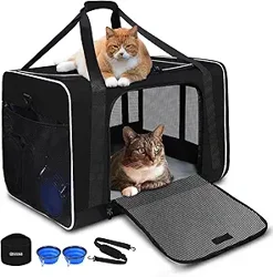 In-Depth Petskd Pet Carrier Customer Feedback Report