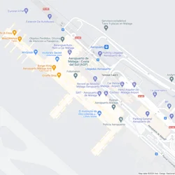 Record go Mobility - Málaga Airport: Mixed Reviews & Customer Experiences