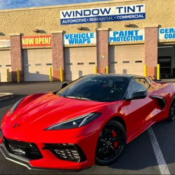 In-Depth Customer Feedback Report for Pro Tint USA - Summerlin