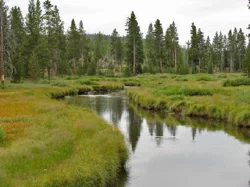 Indian Creek Campground: Quiet and Secluded Camping in Yellowstone