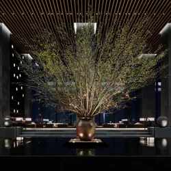 Aman Tokyo: The Epitome of Excellence in Tokyo Hospitality