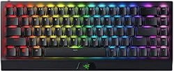 Insightful Razer BlackWidow V3 Mini Keyboard Feedback Report