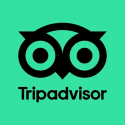 Tripadvisor App: Essential Tool for Travel Planning and Recommendations