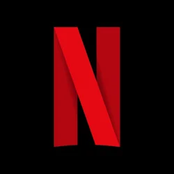 Critical Feedback on Netflix: Household Policy, App Functionality, Content Selection