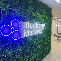 Unlock Insights: Blueberry Markets Customer Feedback Report