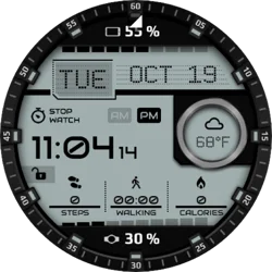 Mixed Reviews for Watch Face App