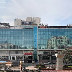 Positive Customer Experiences with Ditto Insurance Services