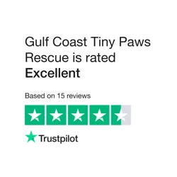 Unlock Insights into Gulf Coast Tiny Paws Rescue Feedback