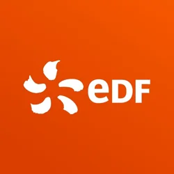 EDF UK App Dissatisfaction: Login Issues, Missing Features, and Glitches