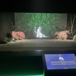 Dijital Hayvanat Bahçesi: A Unique Digital Zoo Experience