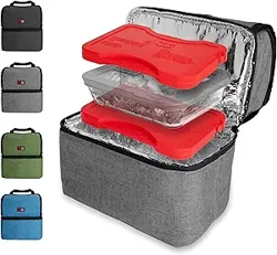 Mixed Reviews for Patented Heated Lunch Box: Good Concept, Poor Durability