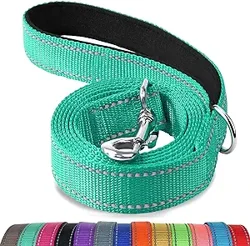 Joytale Reflective Dog Leash: Comfortable, Durable, and Reflective