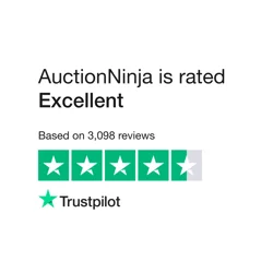 AuctionNinja: Smooth Bidding Process with Room for Improvement