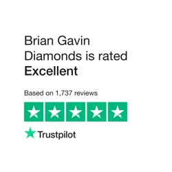 Unveil the Brilliance: Brian Gavin's Jewelers Feedback Report