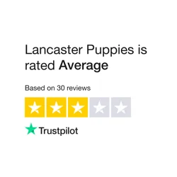 Lancaster Puppies Reviews Analysis