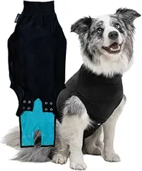 Suitical Recovery Suit for Dogs: User Insights and Considerations