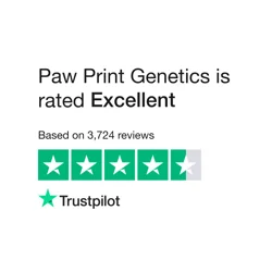 Unlock Insights: Paw Print Genetics Customer Feedback Analysis