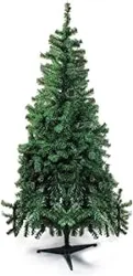 Unlock Insights: Portobelo Green Christmas Tree Analysis