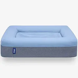 Casper Dog Bed: Mixed Reviews on Comfort and Durability