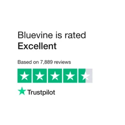 Unlock Insights with Our Bluevine Customer Feedback Analysis