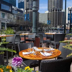theWit Chicago, a Hilton Hotel: Excellent Staff, Rooftop Views, and Convenient Location