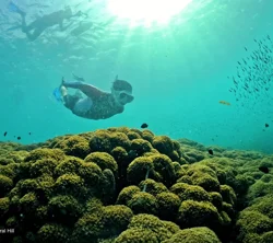 Exceptional Snorkeling Tours in Phu Quoc, Vietnam