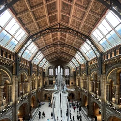 Natural History Museum London Reviews Summary