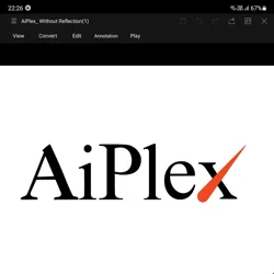 Positive Work Environment and Skill Development at Aiplex Software Private Limited