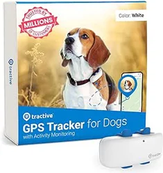 Tractive GPS Tracker: Reliable and Effective Tracking for Dogs