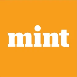 Mint News App Feedback Report: Unveiling User Insights