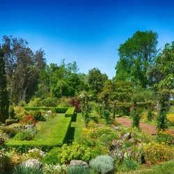 Discover the Tranquil Beauty of Palheiro Gardens in Funchal, Madeira