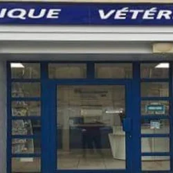 Wagranville Veterinary Clinic: Exceptional Care and Compassion in Paris