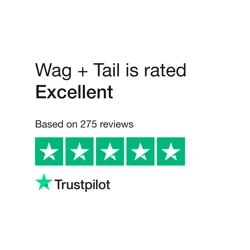 High-Quality Pet Products and Excellent Customer Service at Wag + Tail