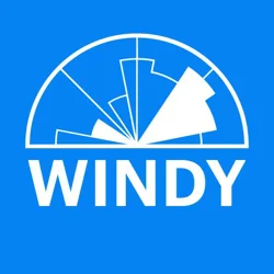 Essential Windy.app Feedback Insights Report